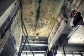 Professional Mold Inspection in St Marys, PA